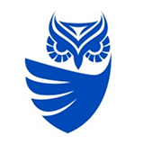 Cognysis